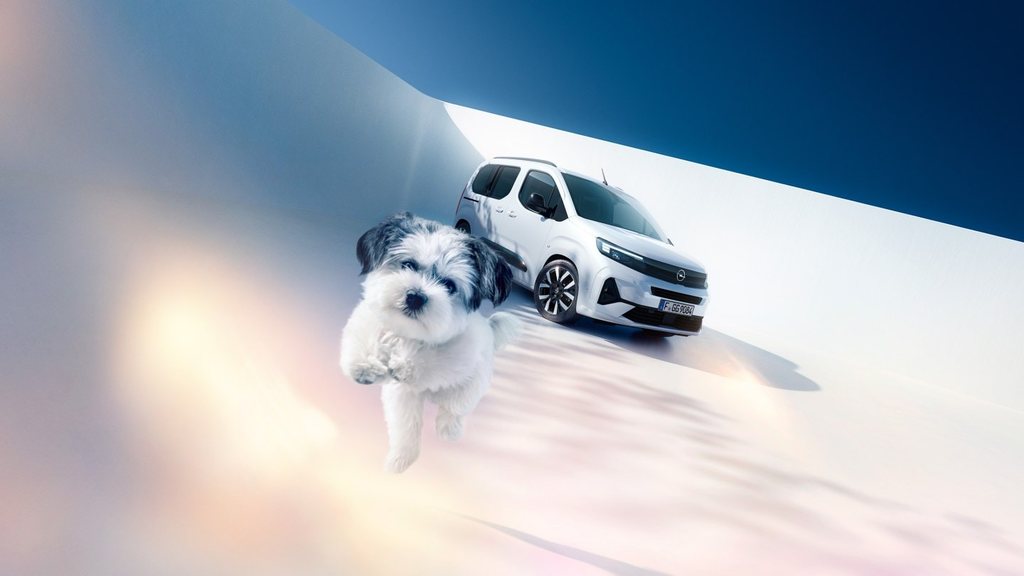Egy fehér Opel Combo egyterű első oldalnézetből és egy kutya